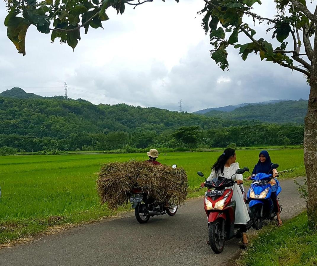 Villa Kayu 요그야카르타 외부 사진